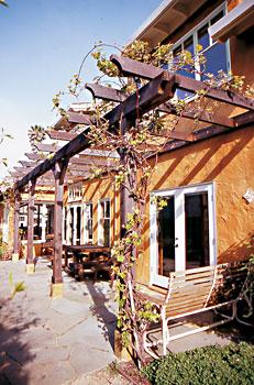 Grapevines will grow fast to shade the patio during the summer months.